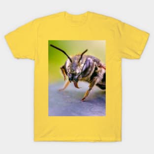 Good Doggy! Macro Insect Photograph T-Shirt